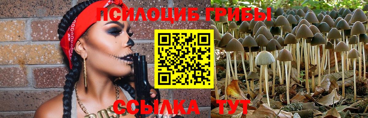 продажа наркотиков  Псилоцибиновые грибы MAGIC MUSHROOMS  Псилоцибиновые грибы Psilocybine cubensis  Вход с VPN  Мурманск 