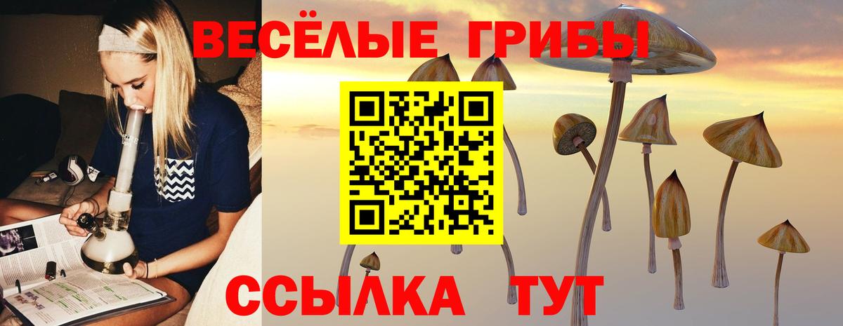 Псилоцибиновые грибы ЛСД Мурманск